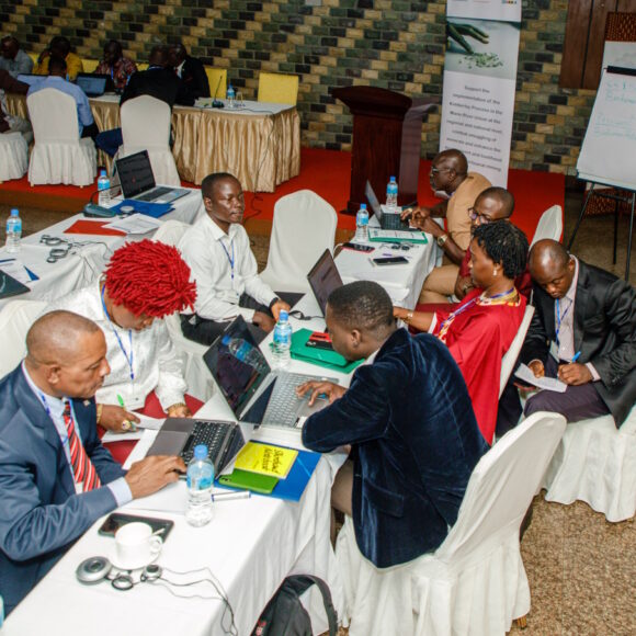 Mano River Union, Project Official Launch